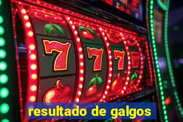 resultado de galgos